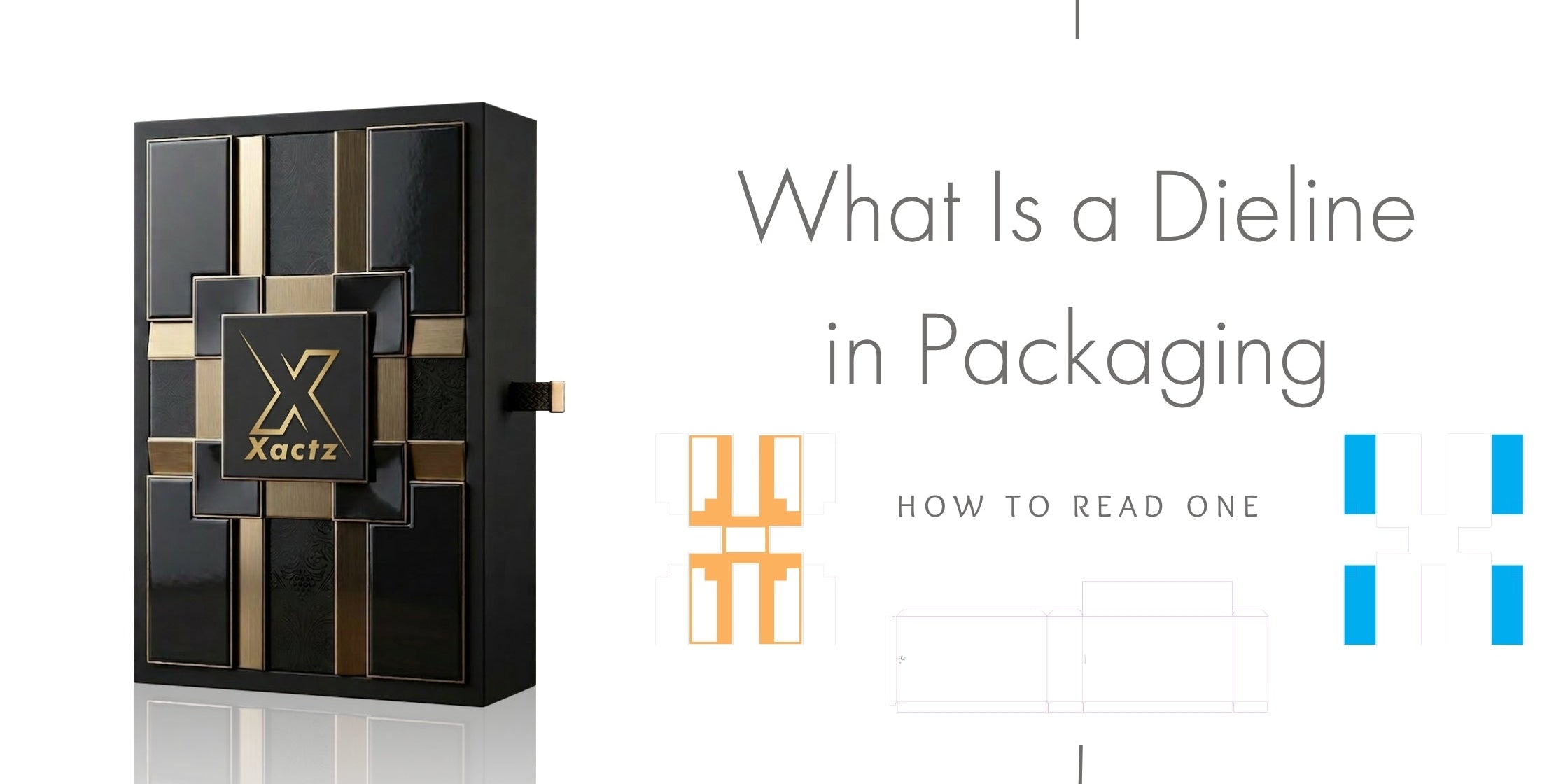 Xactz blog banner custom luxury black and gold rigid box next to packaging dieline vector templates showing how to read a dieline.