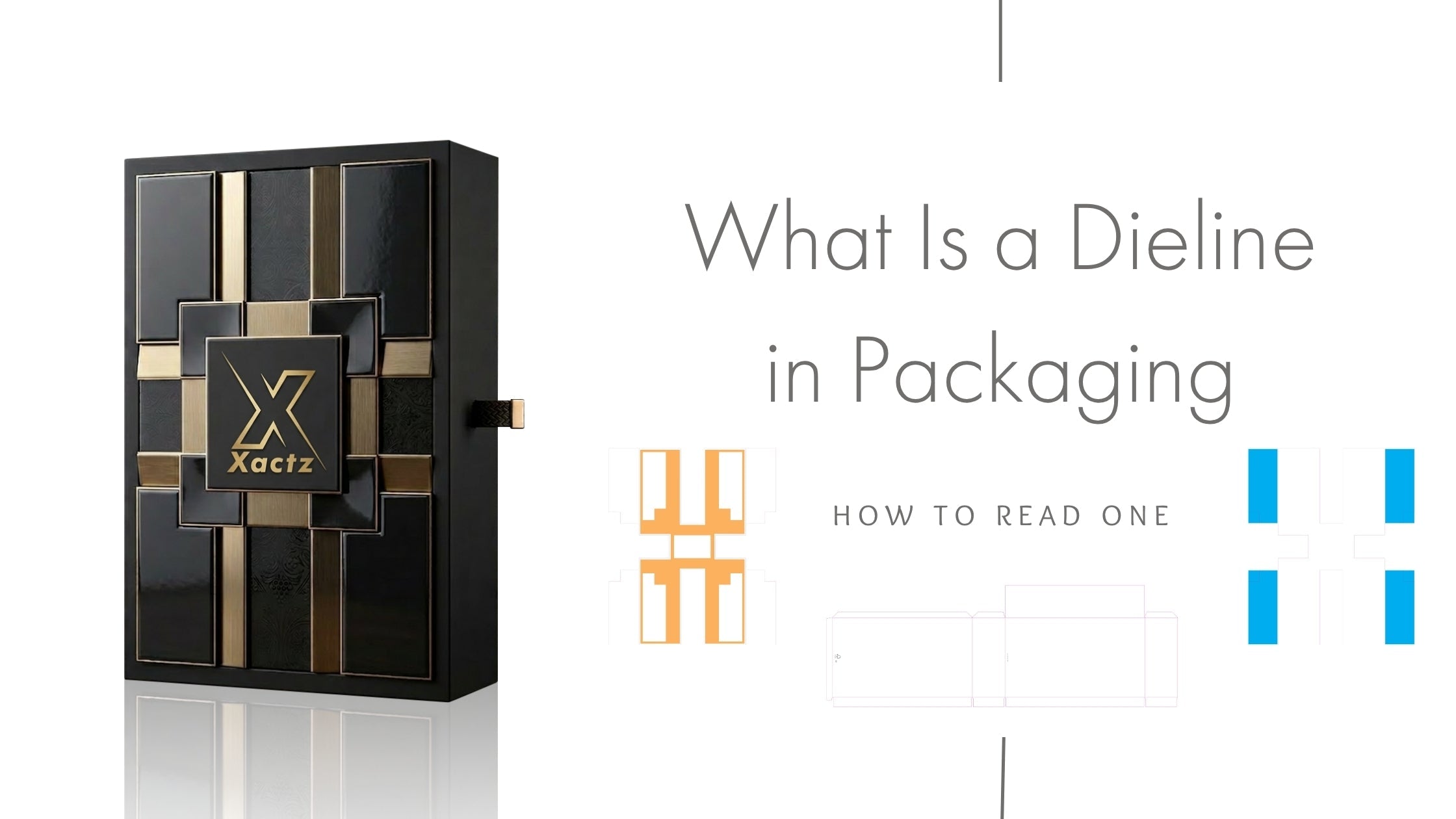 Xactz blog banner custom luxury black and gold rigid box next to packaging dieline vector templates showing how to read a dieline.