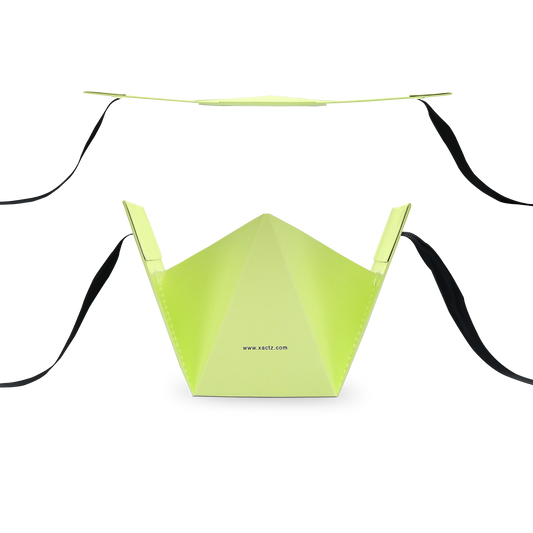 Sac Cadeau de Luxe Personnalisé Vert Clair Ruban Noir Embossé Feuille