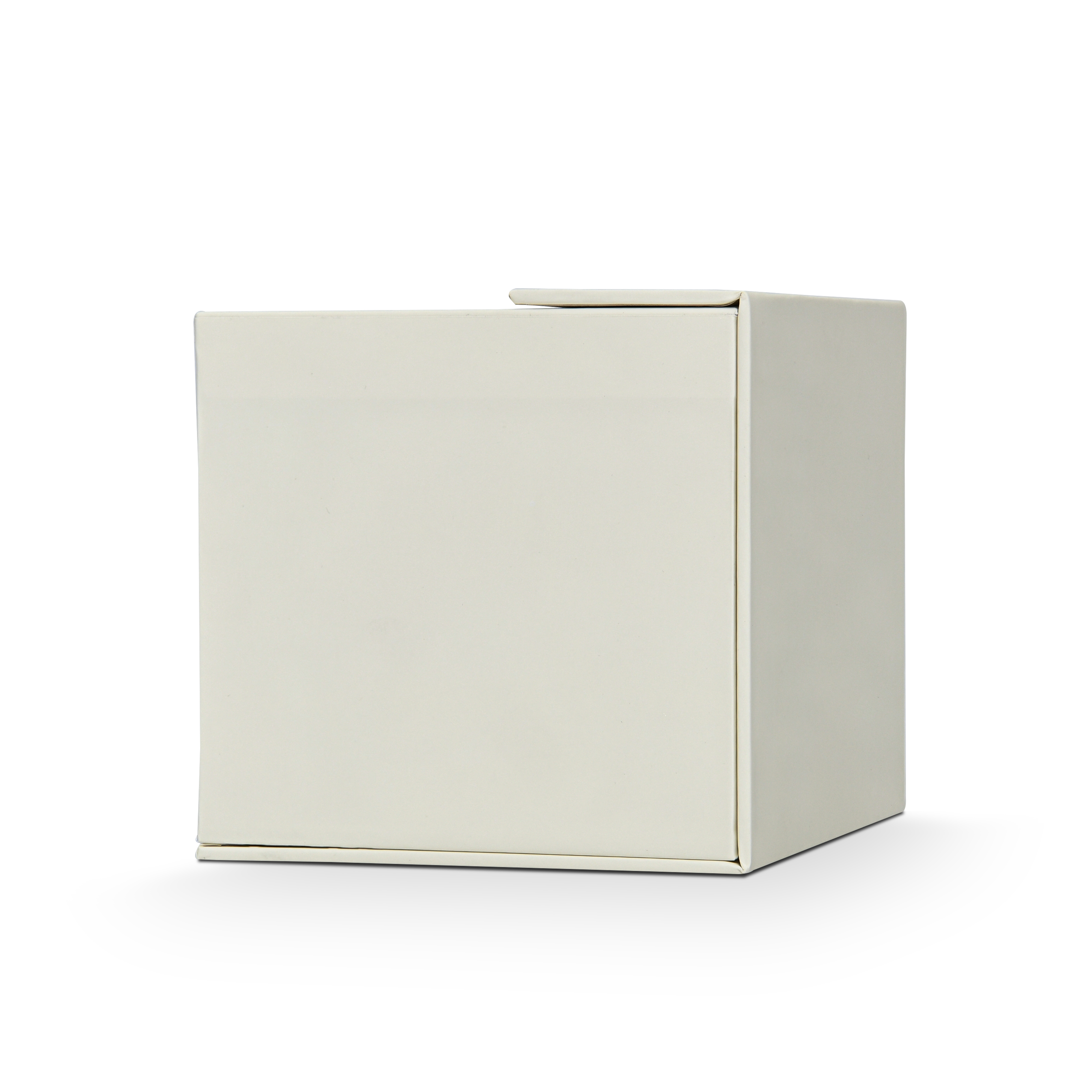 Boîte à Rabat Personnalisée Luxe Beige avec Estampage Argent et Mousse EVA