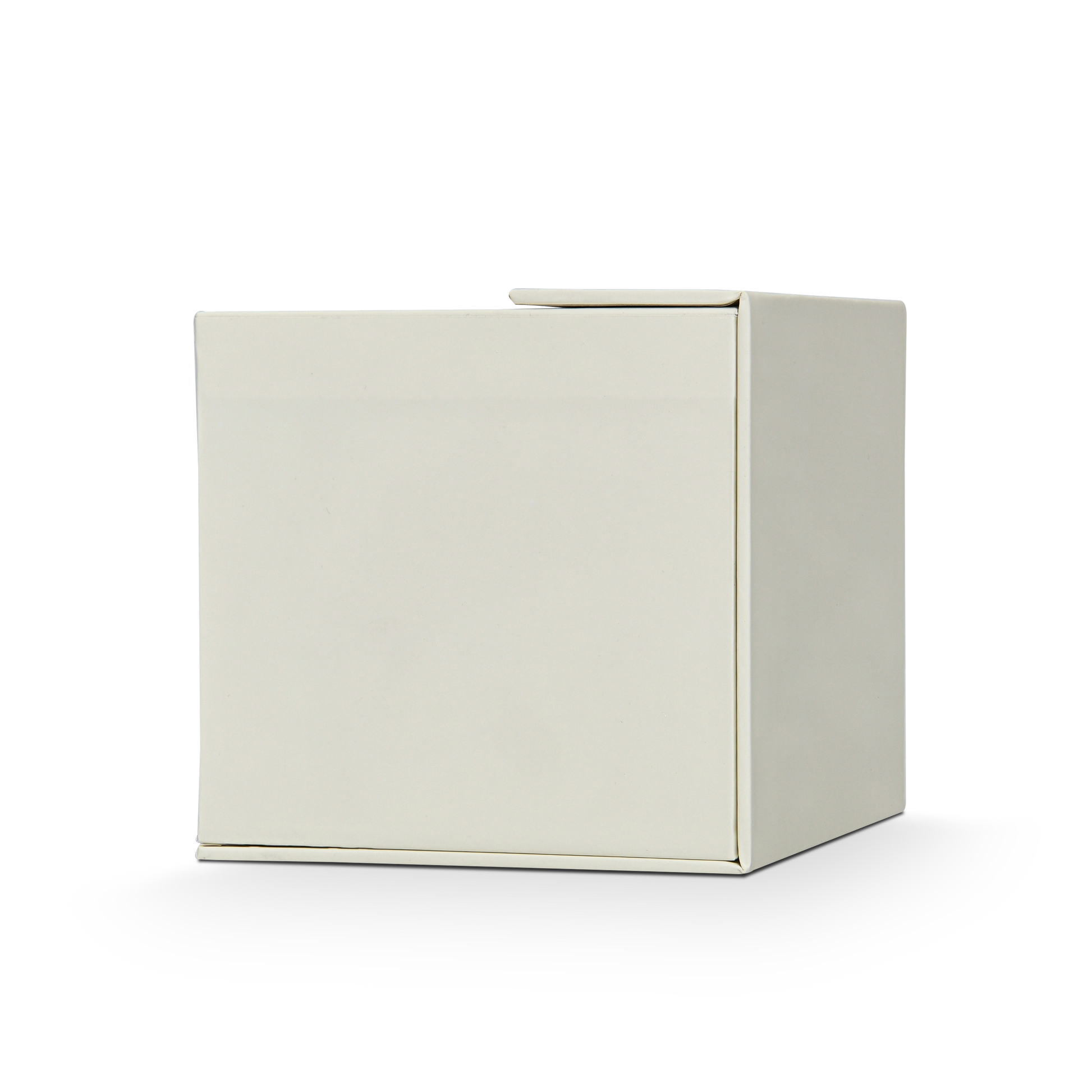 Boîte à Rabat Personnalisée Luxe Beige avec Estampage Argent et Mousse EVA