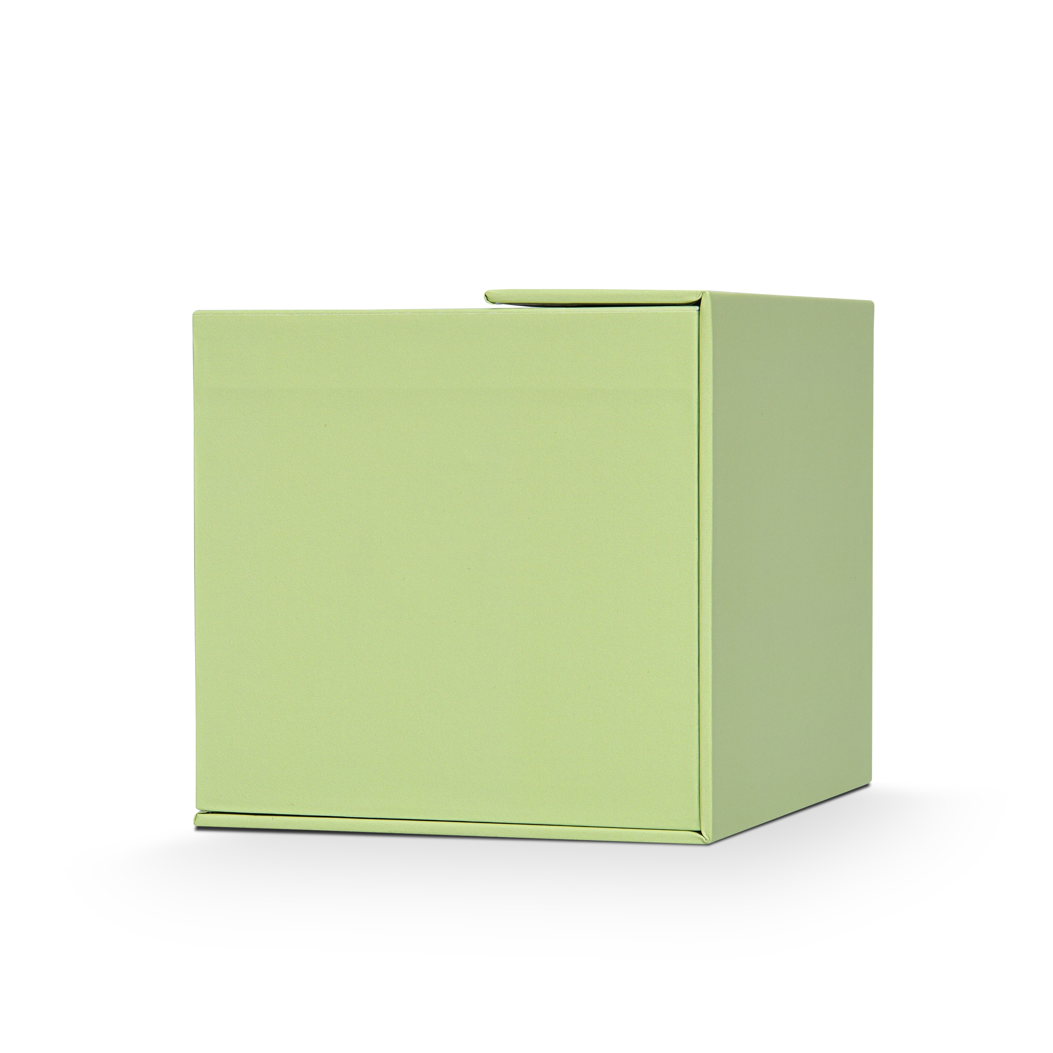 Boîte de Luxe Personnalisée Vert Clair à Couvercle Rabattable Emballage Résistant aux Rayures