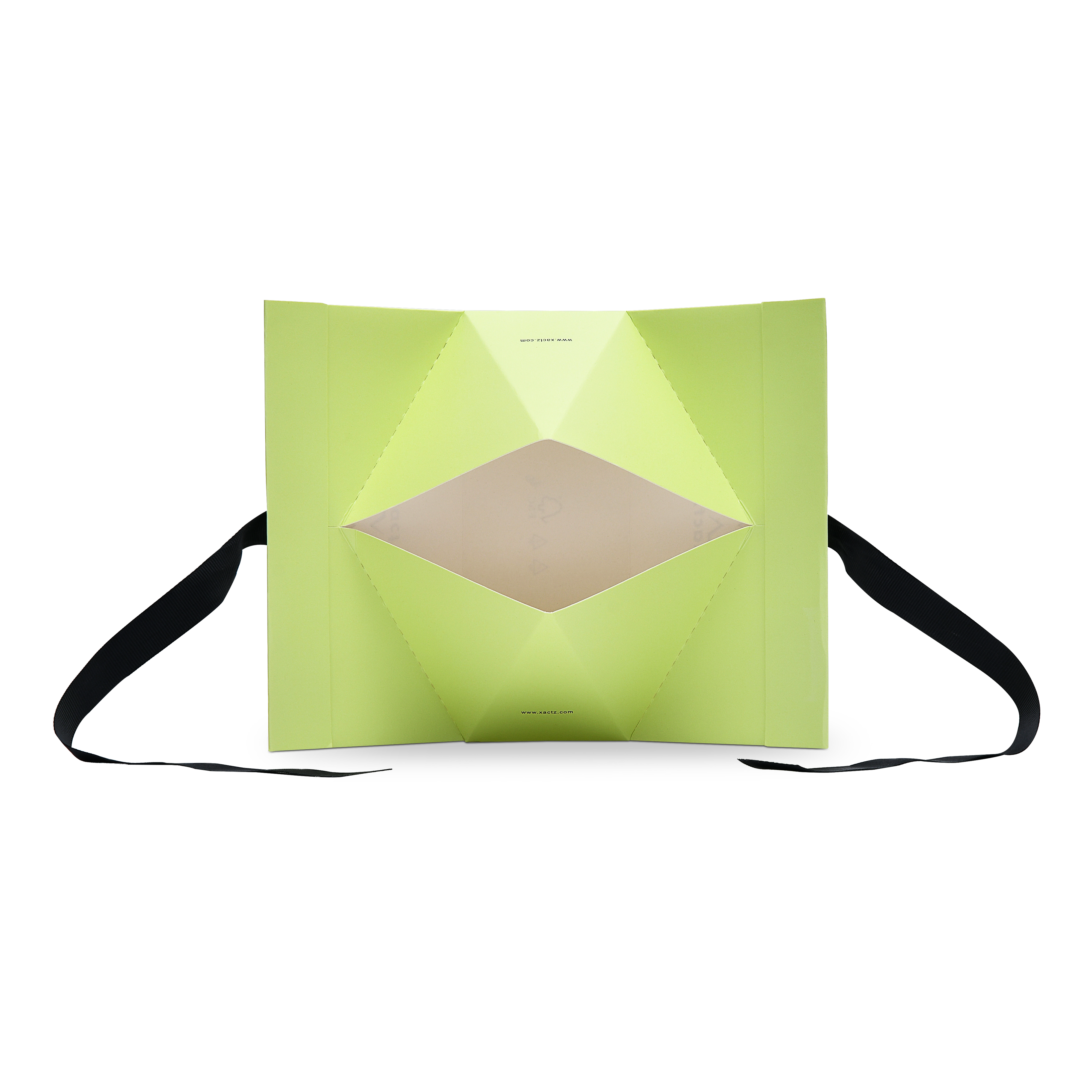 Premium Light Green Gift Bag with Black Ribbon Handles and Embossed Black Foil
