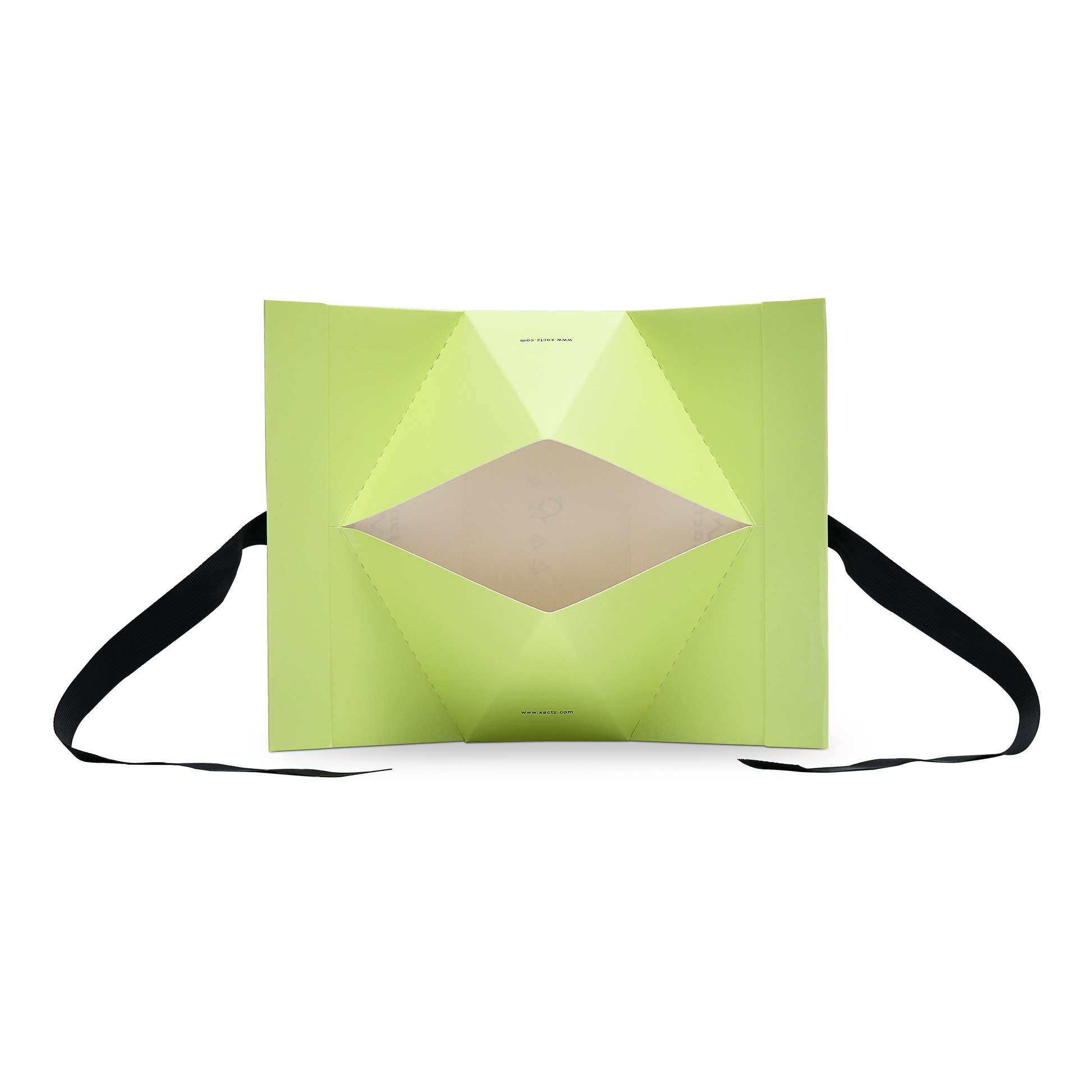 Premium Light Green Gift Bag with Black Ribbon Handles and Embossed Black Foil