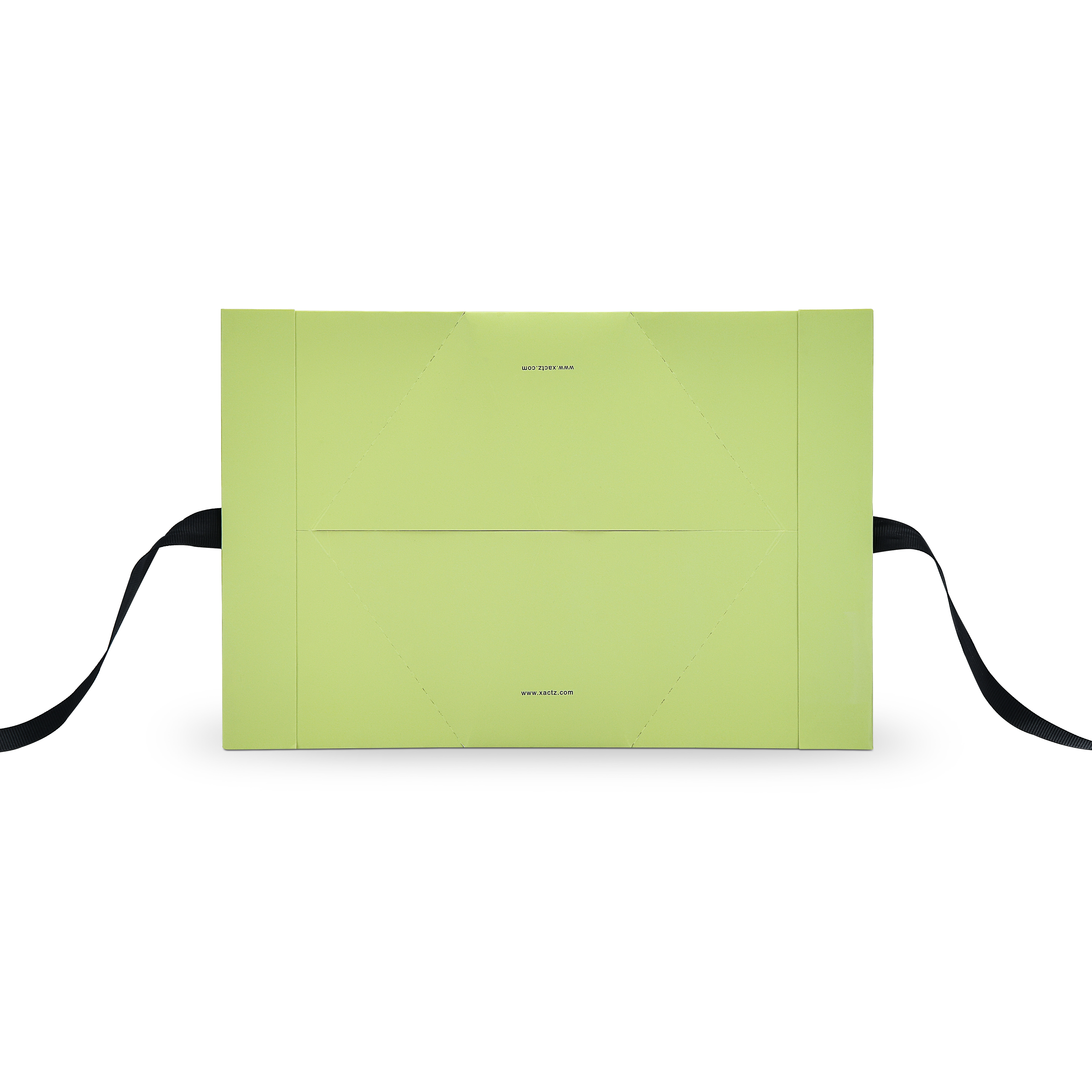 Premium Light Green Gift Bag with Black Ribbon Handles and Embossed Black Foil