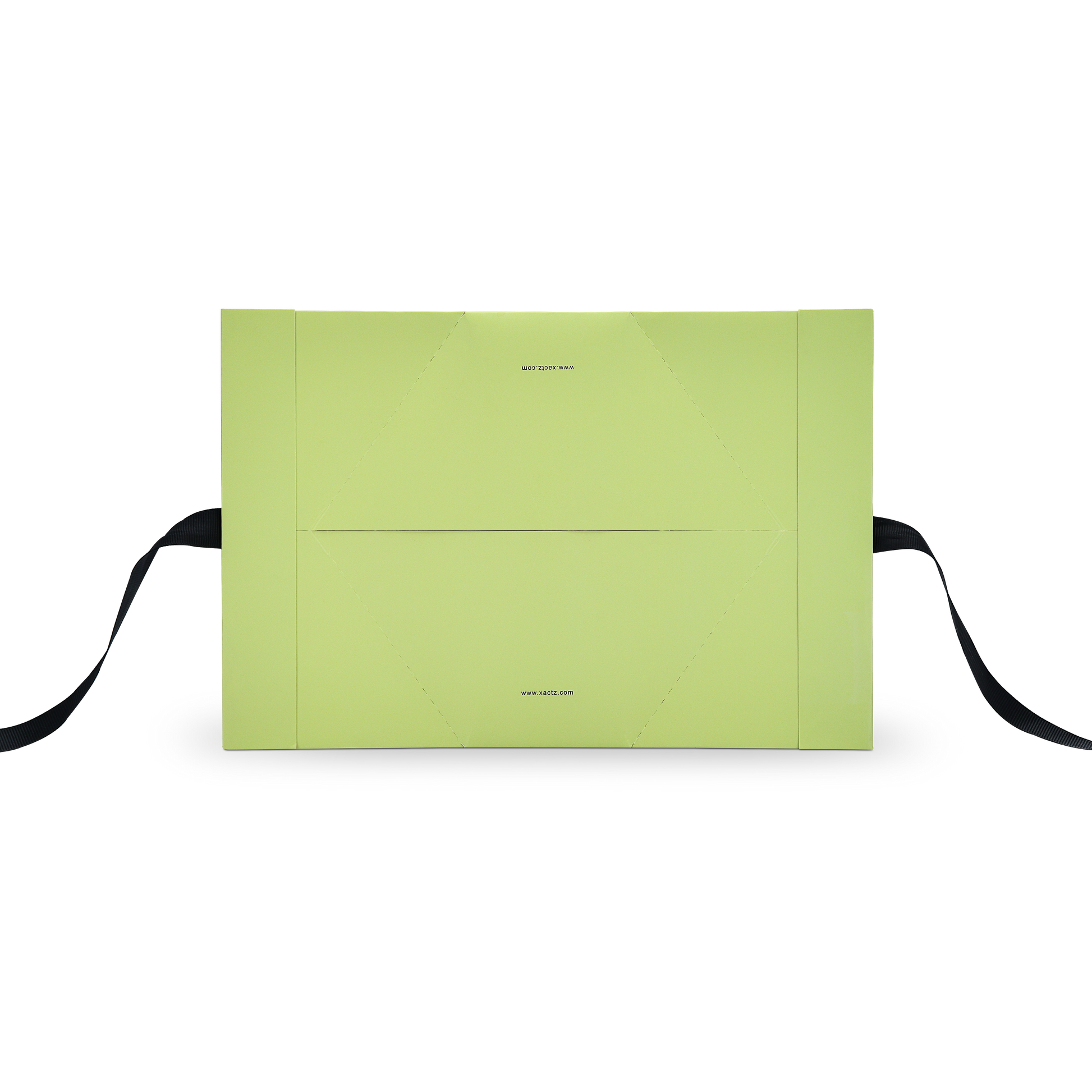 Premium Light Green Gift Bag with Black Ribbon Handles and Embossed Black Foil