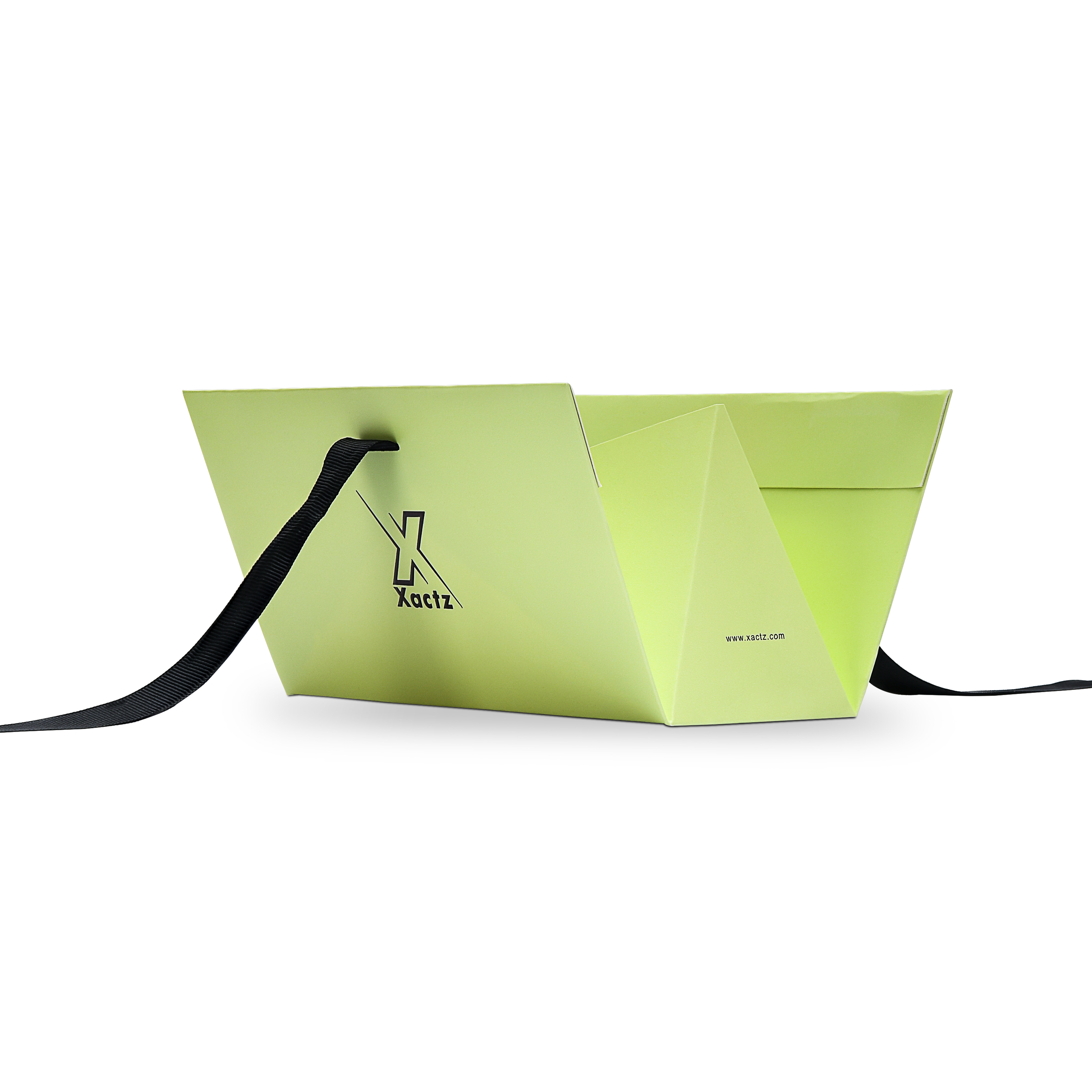 Premium Light Green Gift Bag with Black Ribbon Handles and Embossed Black Foil