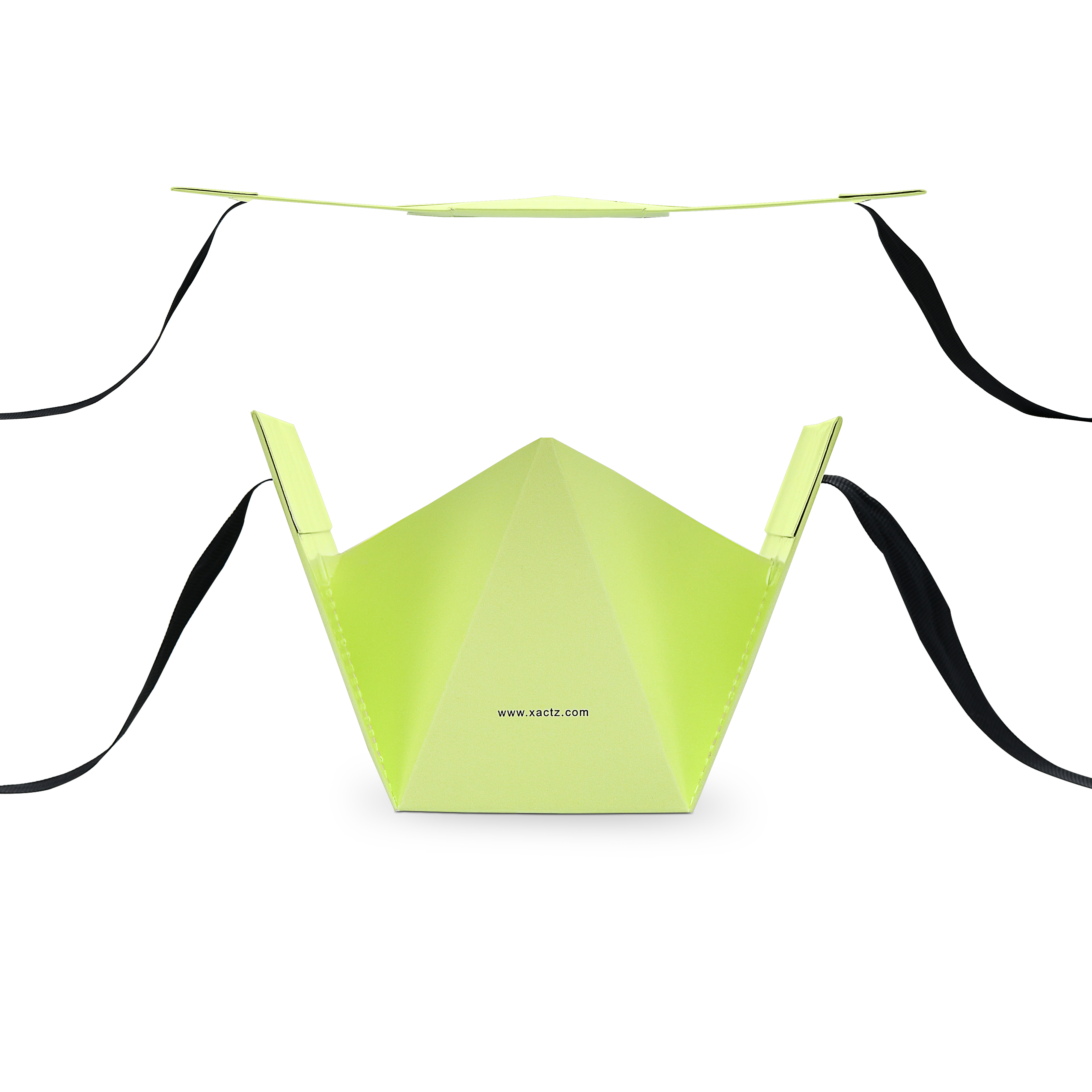 Premium Light Green Gift Bag with Black Ribbon Handles and Embossed Black Foil