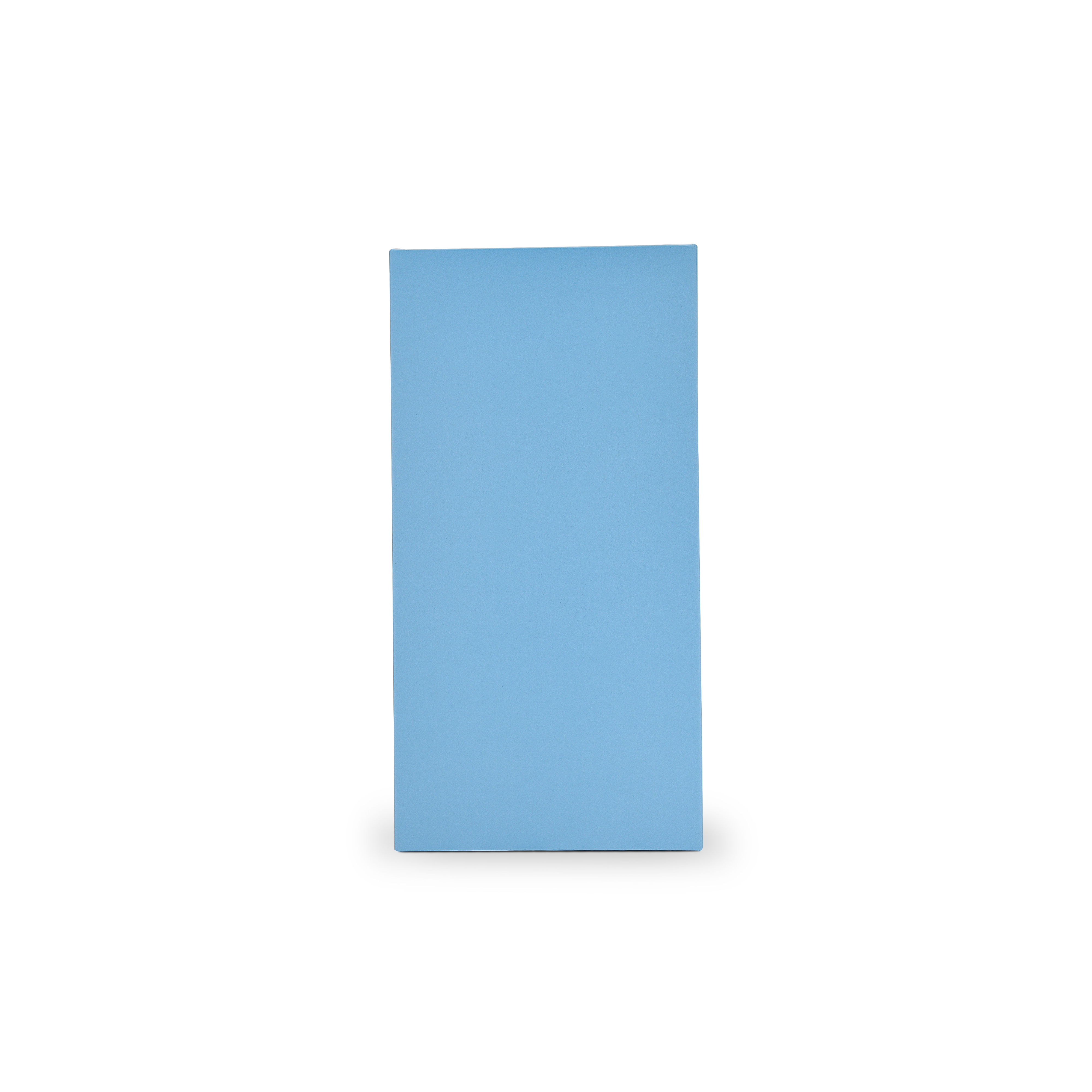 Premium Sky Blue Shopping Bag with Gold Foil and Die-Cut Handles